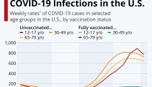 إنفوجرافيك يوضح نسبة الإصابات بمرض كوفيد-19 بين الملقحين والذين لم يحصلوا علي اللقاح حيب الفئات العمرية وذلك في الولايات المتحدة