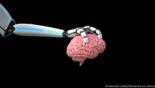 أشارت الدراسة إلى أن الشبكات الآلية تعمل بشكل قريب للغاية من المخ البشري