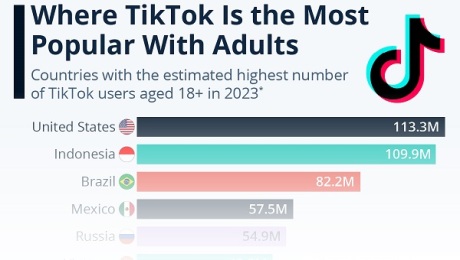 أكثر دول العالم في استخدام شبكة تيك توك بين البالغين الذين يزيد أعمارهم عن 18 عاما، الولايات المتحدة في المركز الأول